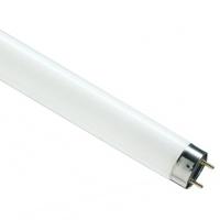 Лампа люм G13 Т8 58Вт 6500К 4000лм Osram 