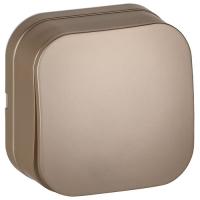 Глори шампань выключатель 1кл открытая 10А IP20 