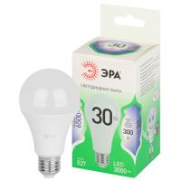 Лампа свд 220В Е27 30Вт 6500К 3000лм стандарт A65 матовая ЭРА Green Line