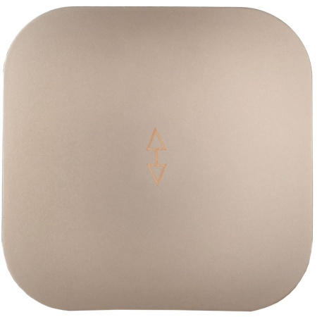 Глори шампань переключатель 1кл открытая 10А IP20 