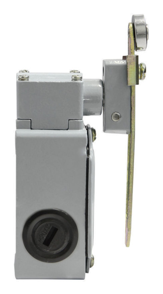 Выключатель концевой ролик поворотный регулируемый IP54 ВП15М 21Б-291-54У2.3 TEXENERGO 